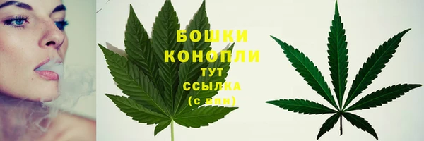 spice Армянск
