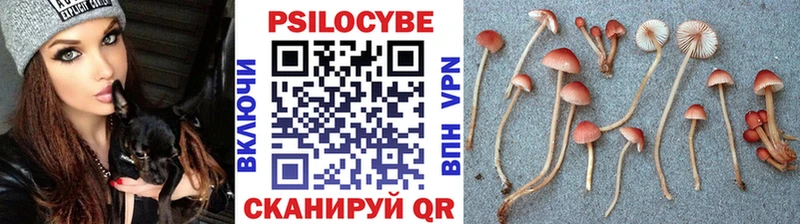 Псилоцибиновые грибы GOLDEN TEACHER Малгобек